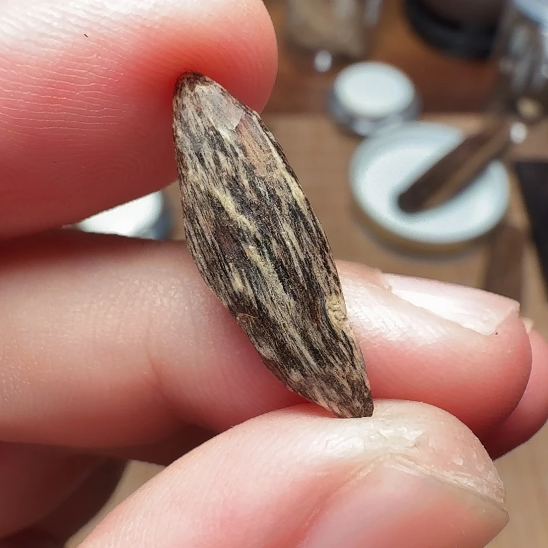 沉香国香海南瓜子