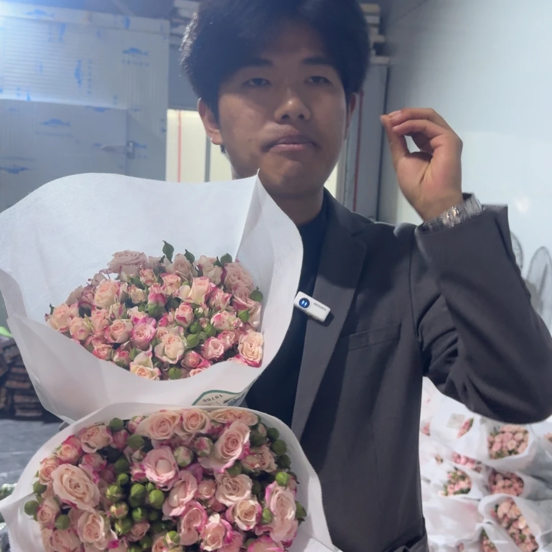 折射2扎包邮价秒杀
