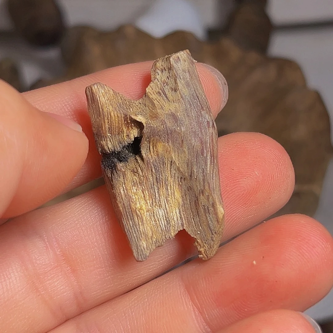 沉香沉香碎屑海南红棋楠