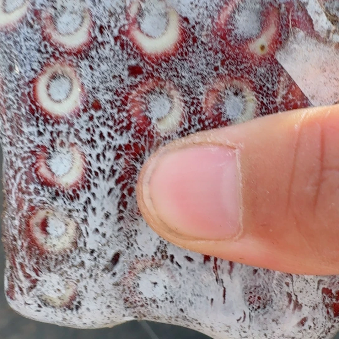 冰***冰盆      愿你一路坦途，乘风破浪展宏图