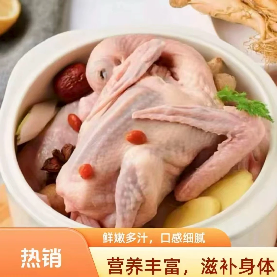 【买三只送两只】新鲜宰杀农家散养鸽子速冻锁鲜包邮