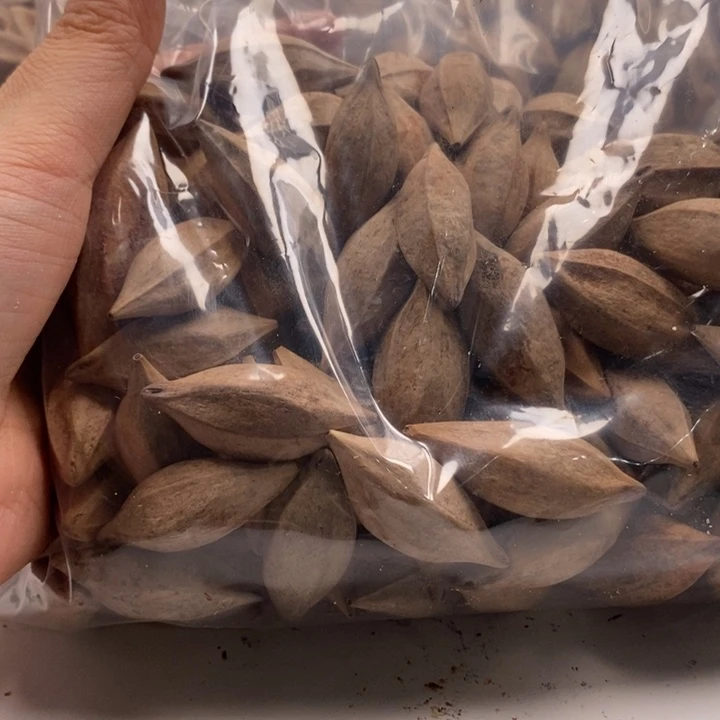 福***临手串/手链橄榄核橄榄核雕