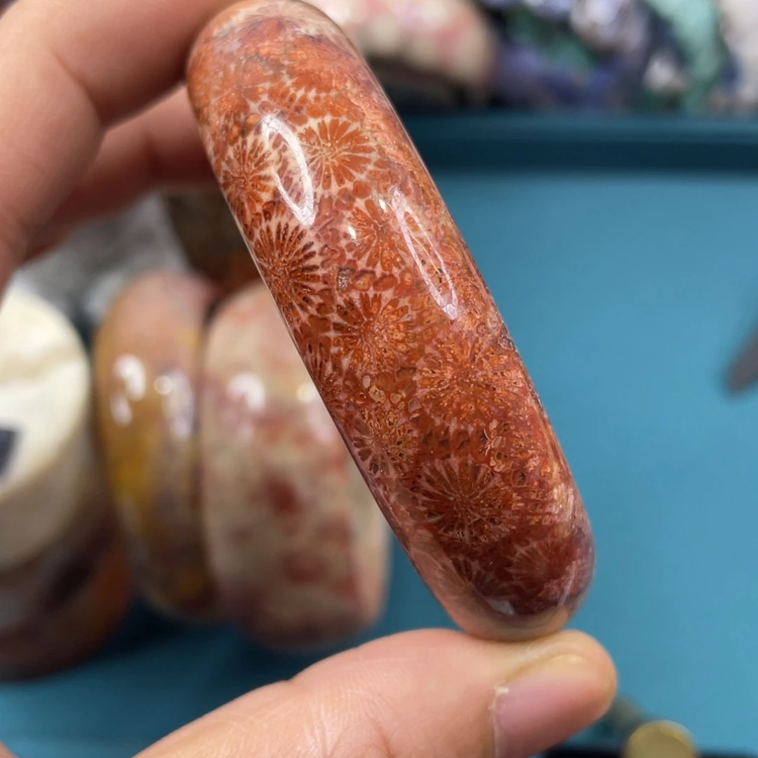 未镶嵌手镯硅化玉