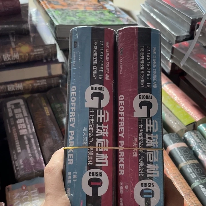 全球危机：微瑕图书系列