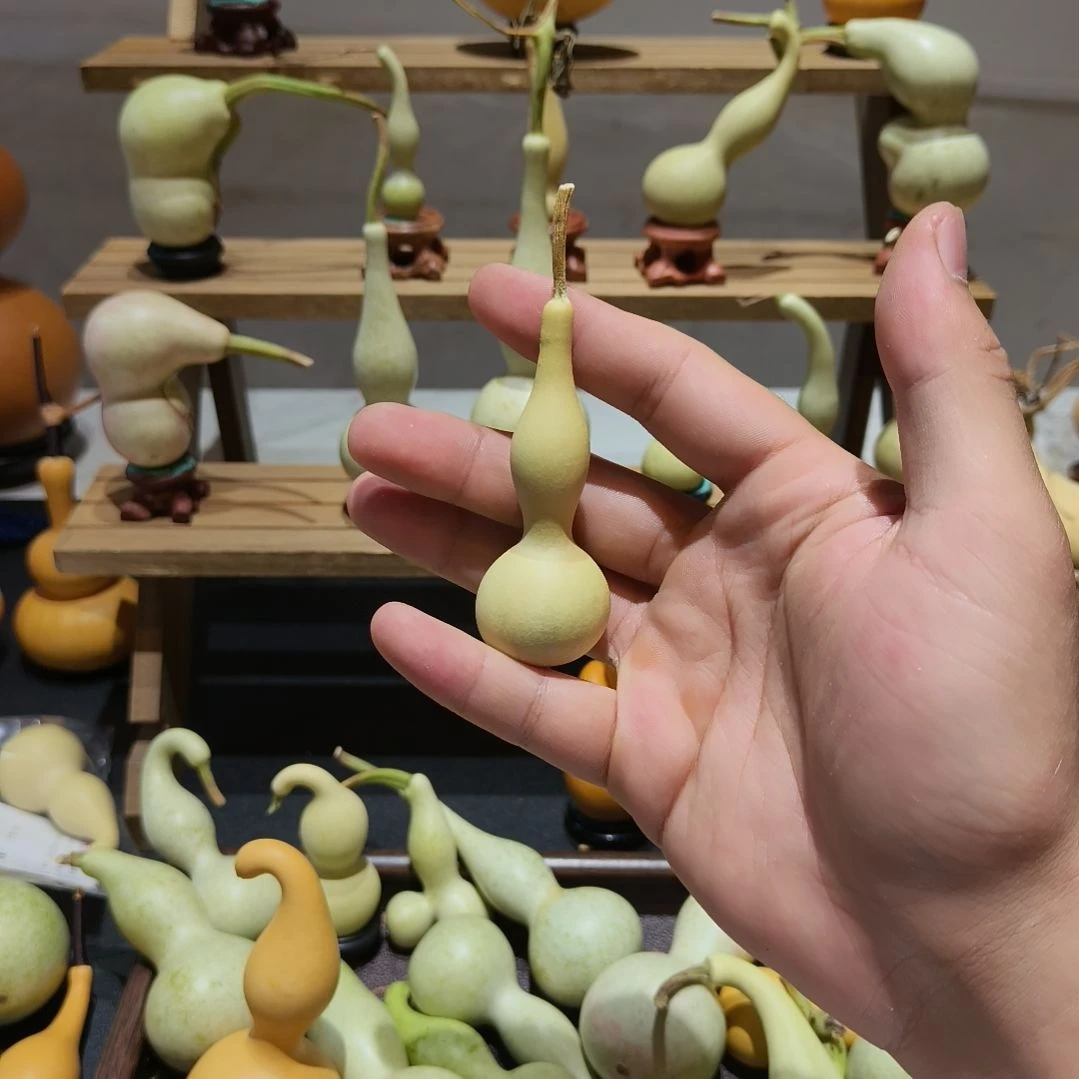 老***廖杨家葫芦大院精品葫芦