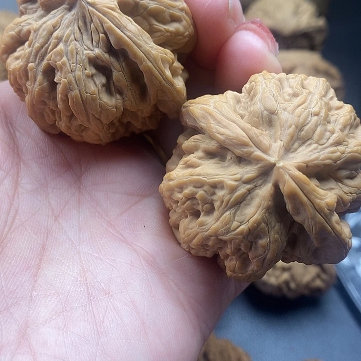 了***梁吊坠龙脊菩提粗筋47