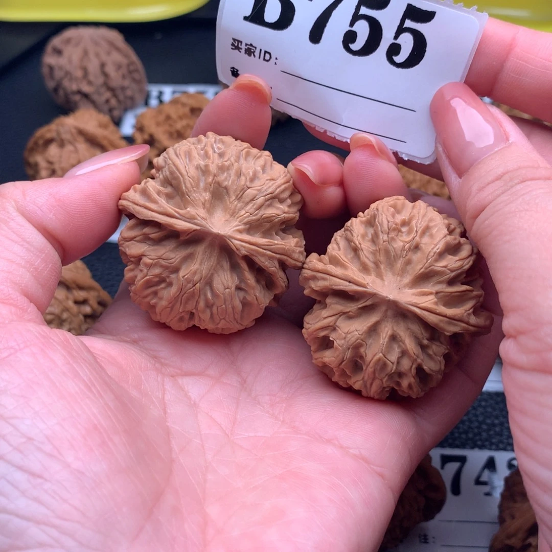 核桃苹果园755链接40尺