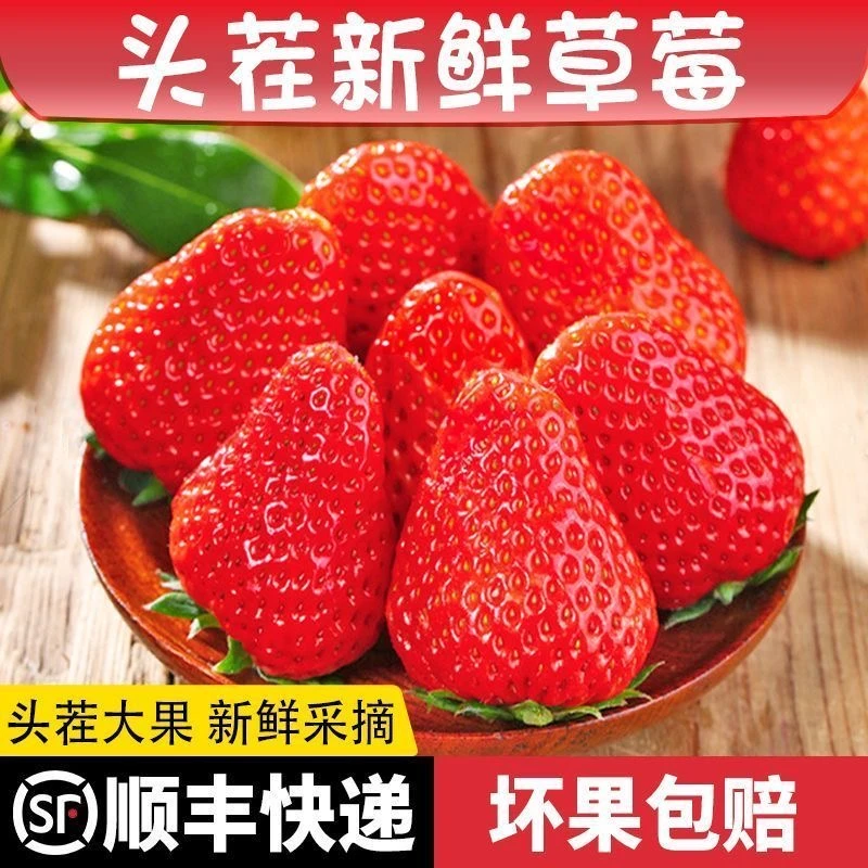 【顺丰包邮】大凉山奶油草莓新鲜营养甜美香甜饱满浓郁送礼礼盒装