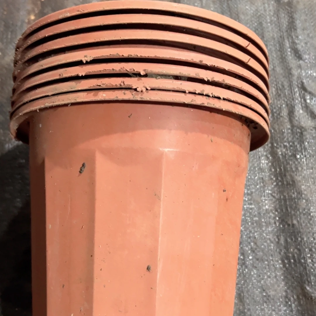 新红砖盆7个 20口径17高