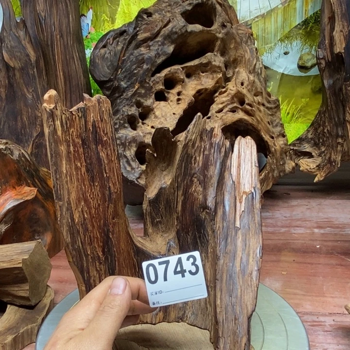 吴***华木我在外面吃饭98