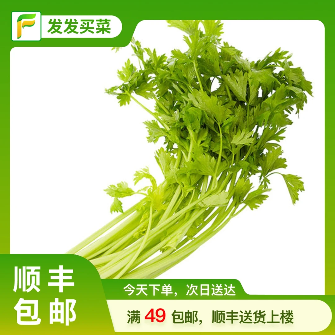 北京精品香芹约350g±10左右/份蔬菜芹菜