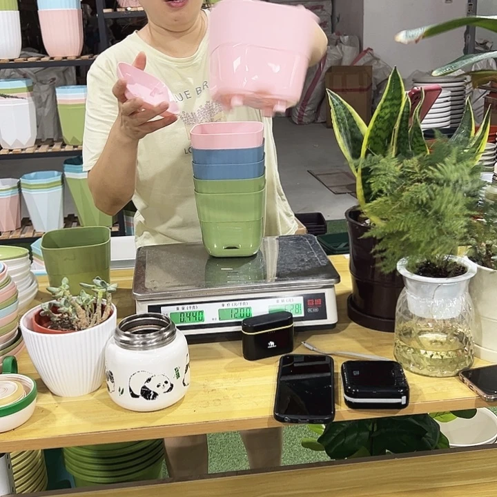 方形竖条纹口12高12混色带托6只