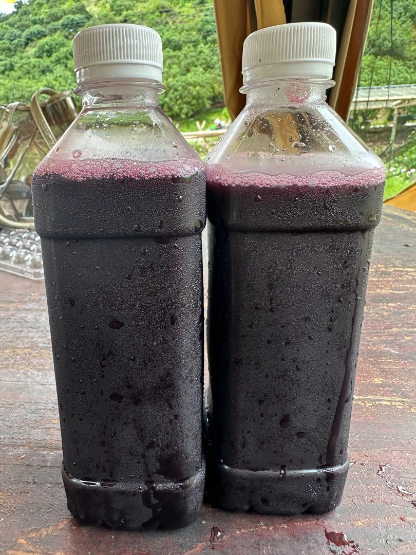 小俞纯手工杨梅汁