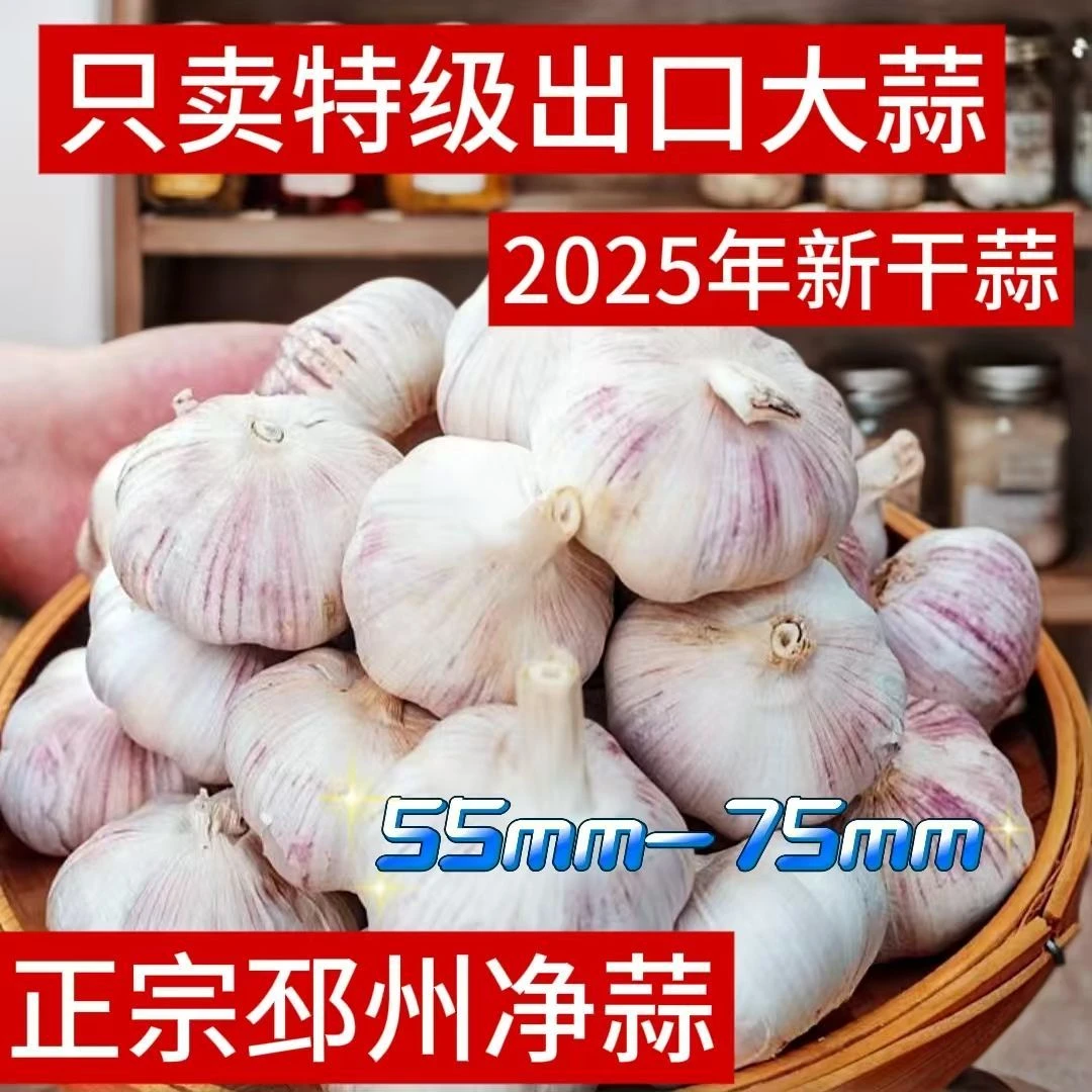 【新干蒜】出口级大干蒜紫白皮大蒜头特大果批发新鲜红皮便宜大头蒜