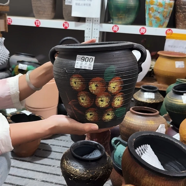 枇杷双耳900高度20口径20