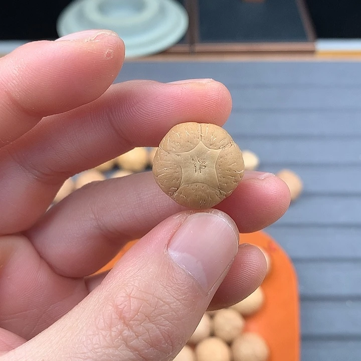 吊坠凤眼菩提20+五星，非质量问题开孔不退