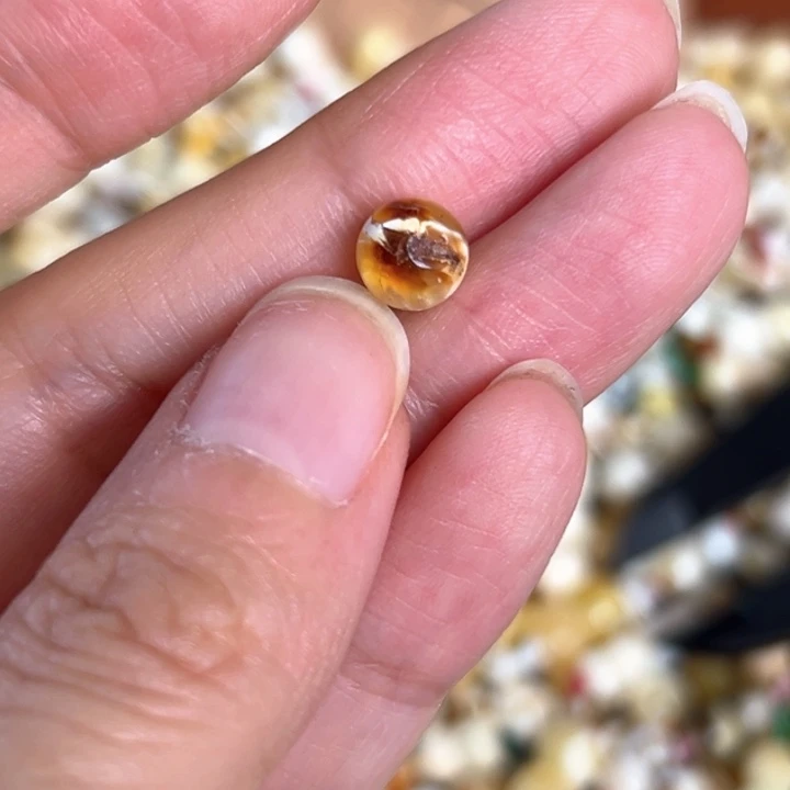 未镶嵌蜜蜡裸石7.2mm一个