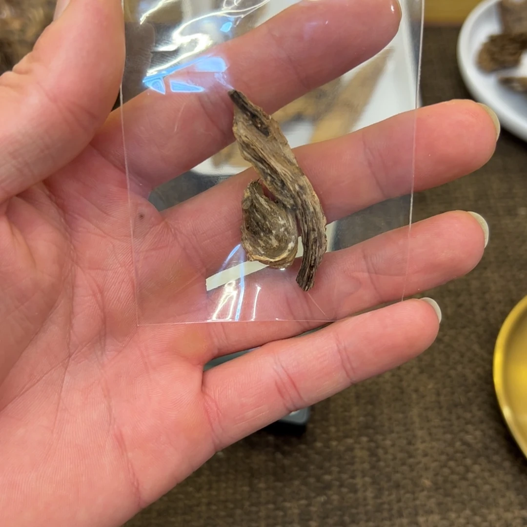 香港天然树根油1.3g