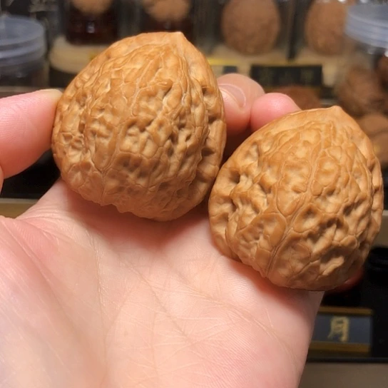 高端野生品：穿山甲