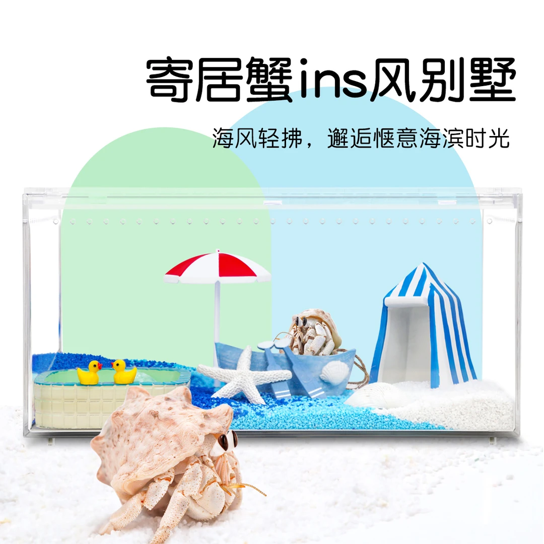 寄居蟹活体新手饲养套餐套装～亚克力饲养缸饲养盒箱儿童礼物萌宠