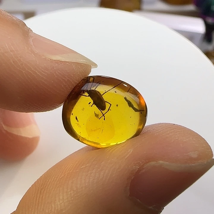 阿***笙未镶嵌琥珀裸石虫珀标本