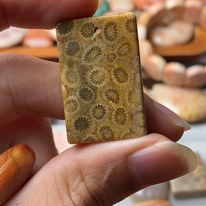 唐***园硅化玉未镶嵌颈饰