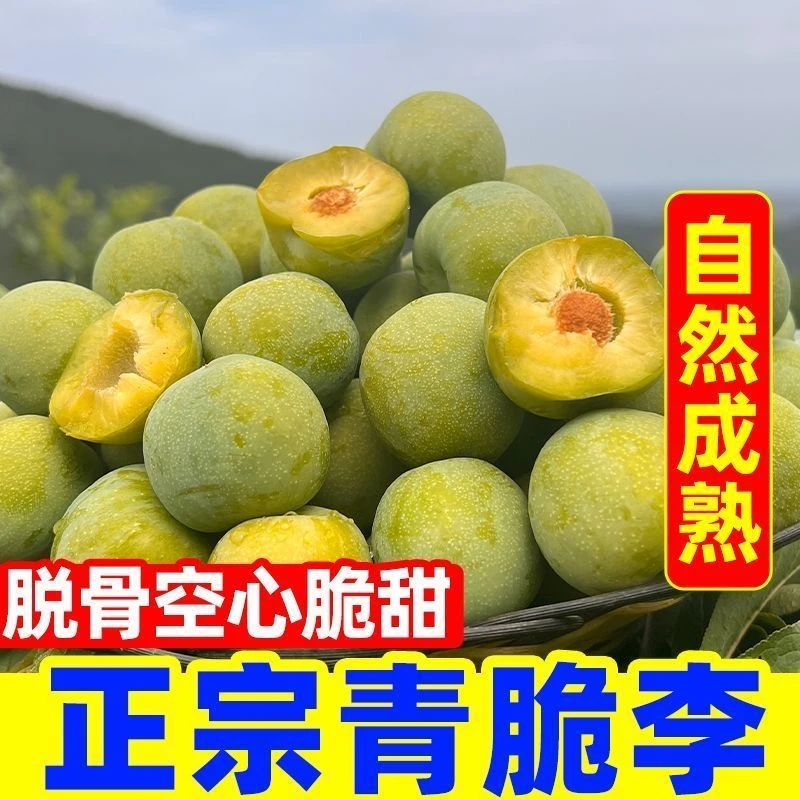 正宗贵州清脆脱骨李脆甜可口新鲜多汁水果李子wx