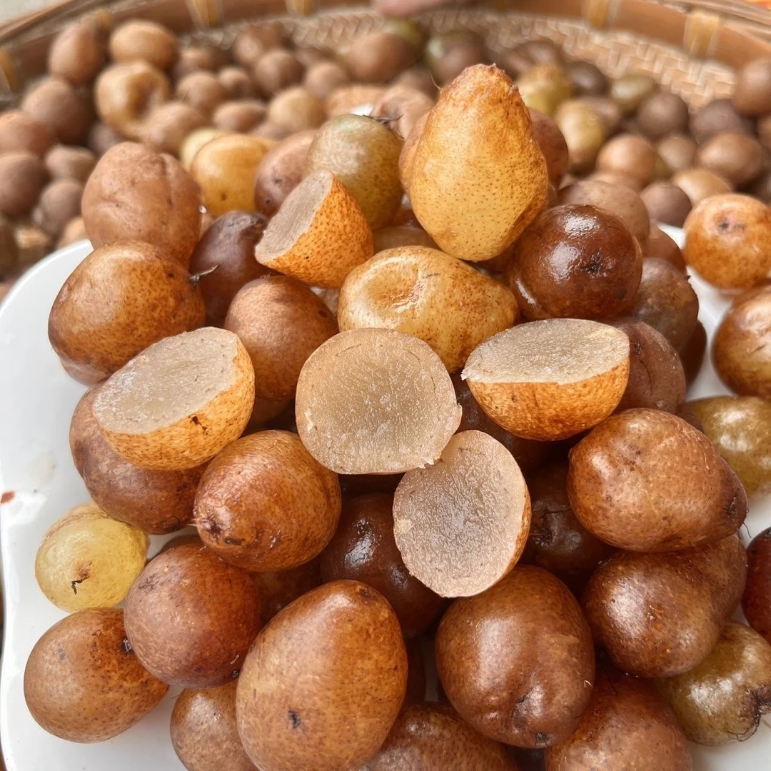 【石黄皮】新鲜肾蕨果化狗儿石现挖精选新鲜农产品