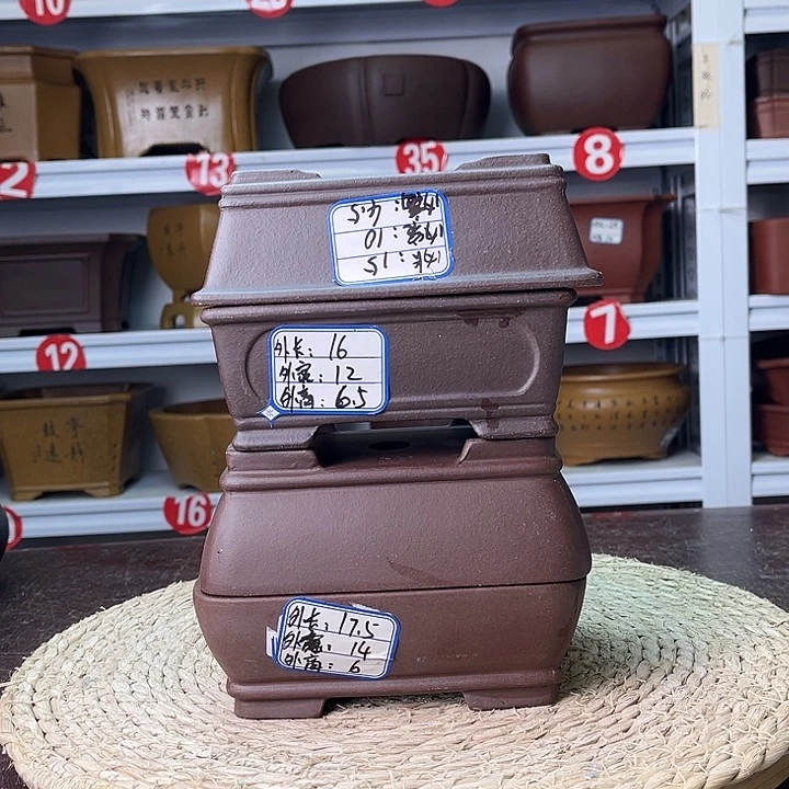 花盆紫砂你在一起