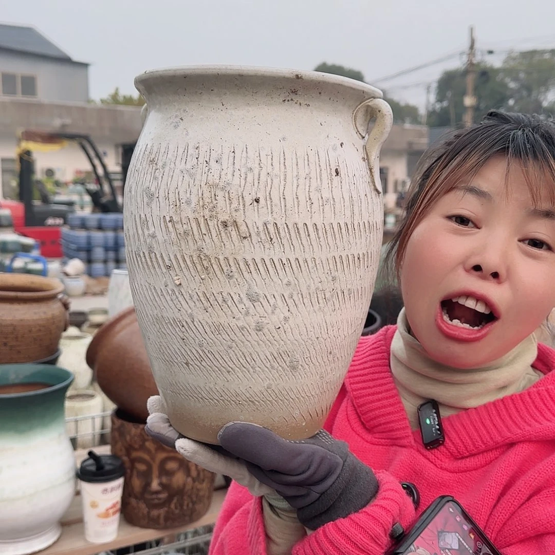 王嫂花盆1208-309高28口20