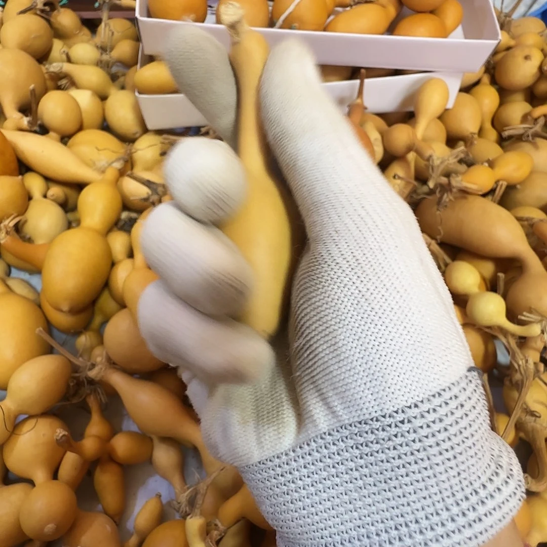 哈哈哈哈哈哈哈哈