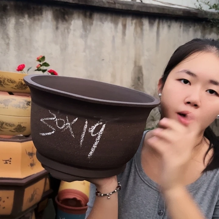 30拉毛小马花盆花盆花盆