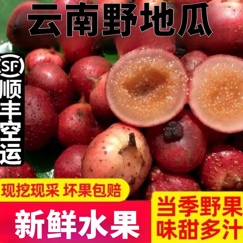 顺丰空运云南野地瓜新鲜当季现摘发 地果地枇杷地石榴儿时野果