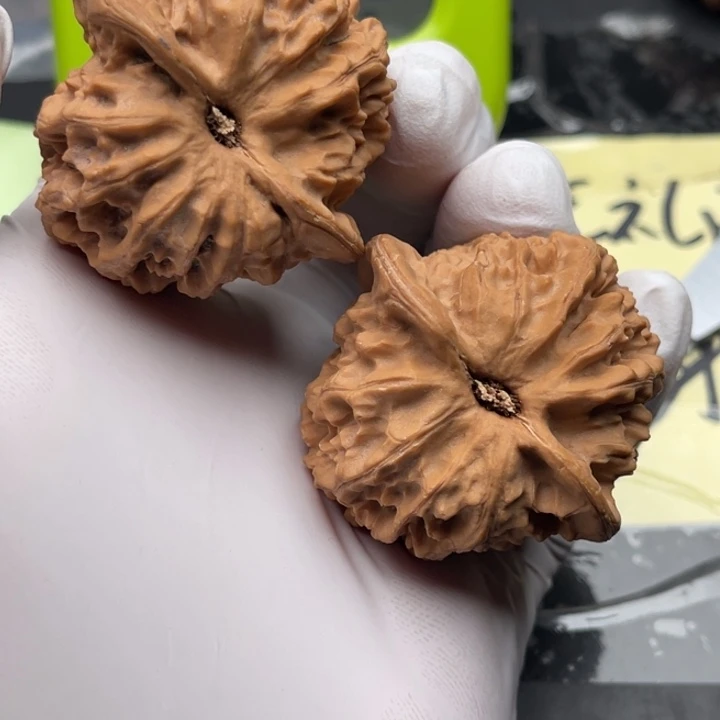 楠***初文玩核桃把件文玩核桃链接专属