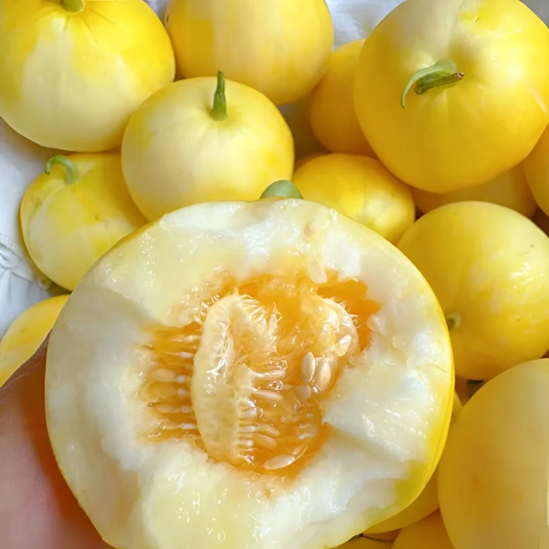 【顺丰包邮】小蜜蜂甜瓜 产地直发 香甜脆爽 当季新鲜水果香瓜