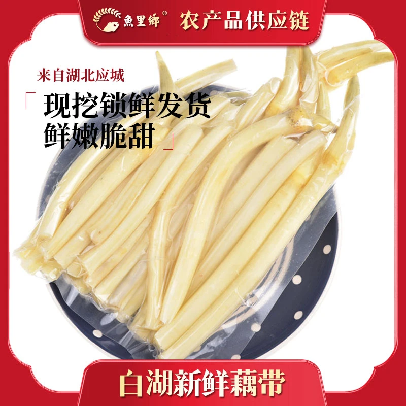 新鲜藕带现挖湖北白湖藕带藕肠子藕尖应季时令蔬菜脆嫩
