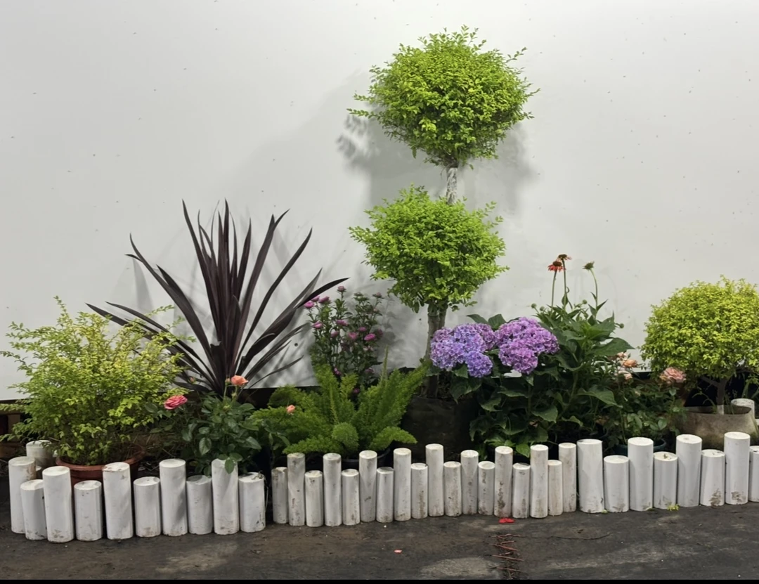 花园花箱阳台庭院设计搭配