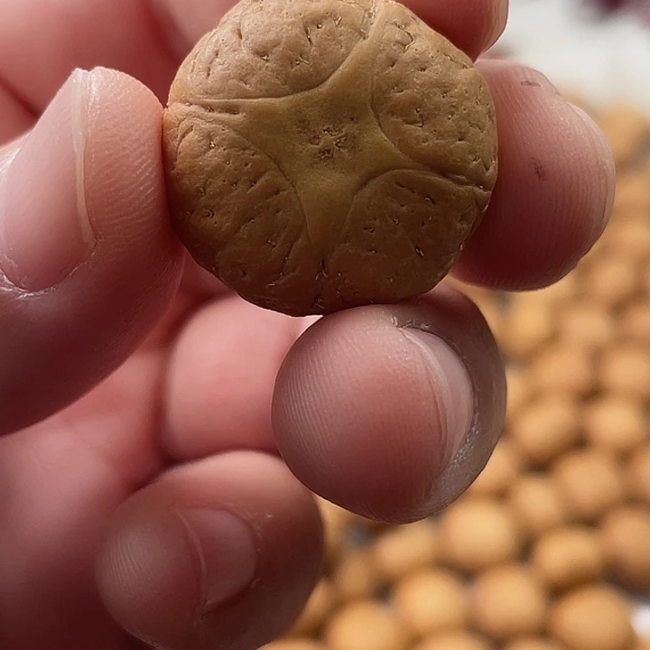 大****手串凤眼菩提尼泊尔小凤眼