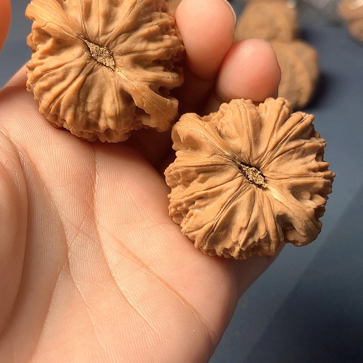 奥***诺文玩核桃吊坠白狮子