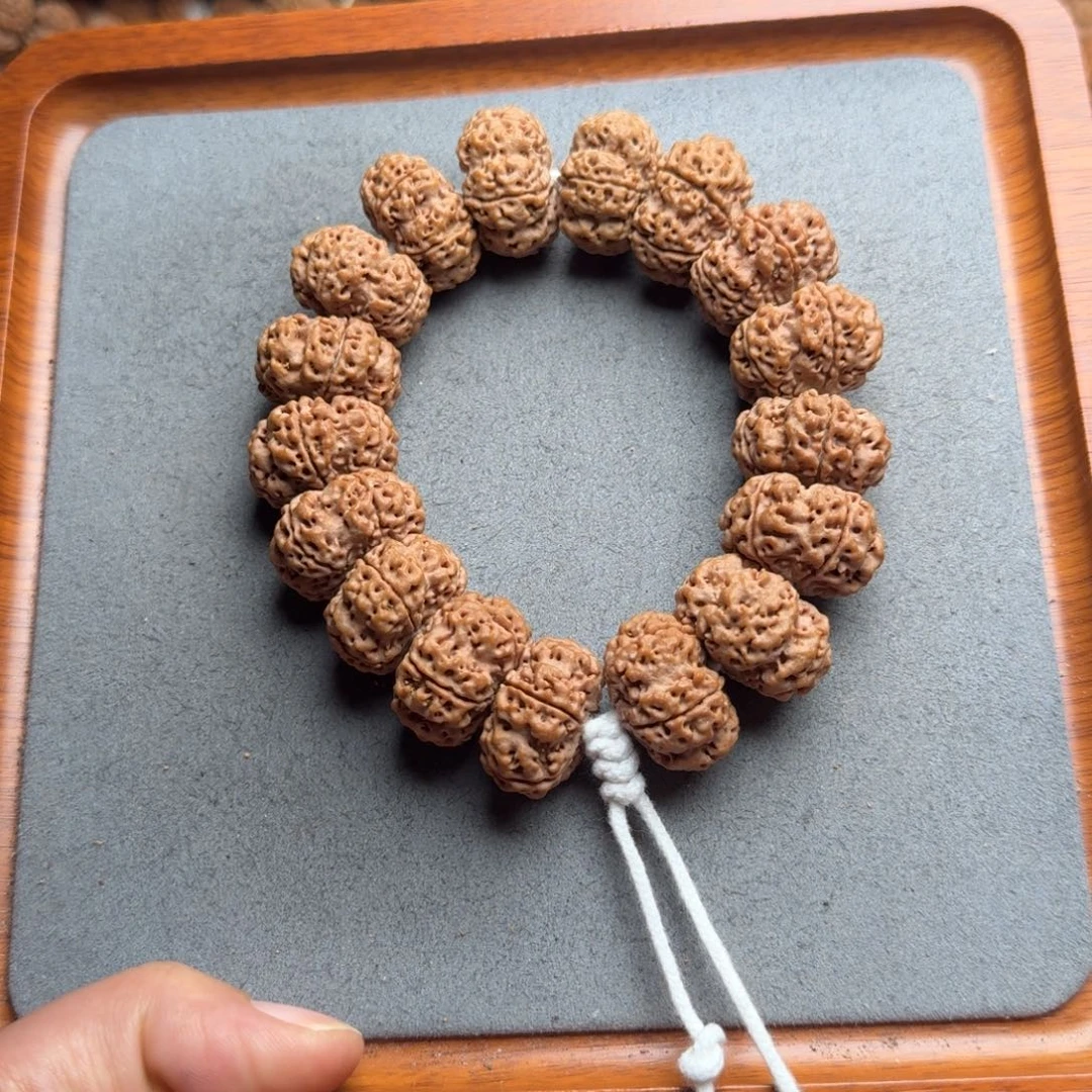 菩提菩提17号尼泊尔大金刚23夹板梅花