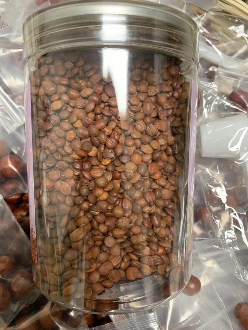 【炒酸枣仁】野生手工精选正宗纯国产酸枣仁产地直发保真250g