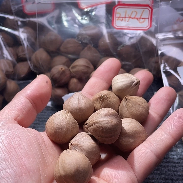 宝***贝吊坠橄榄核2.3✖️2.5素核