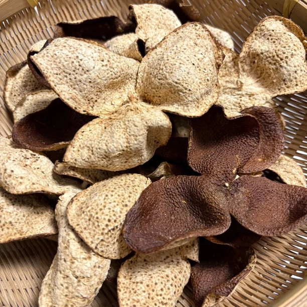 2021年正宗新会老树大红皮