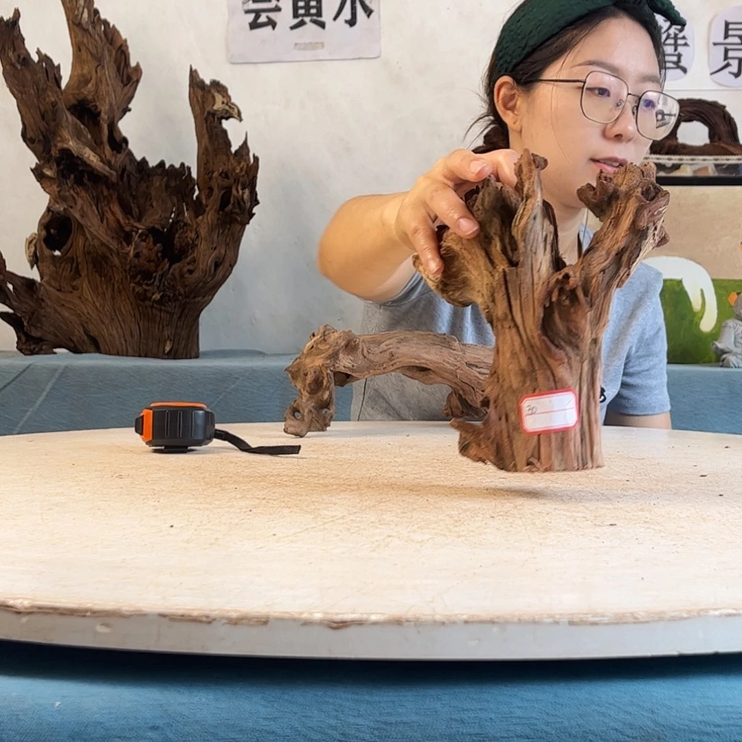 沉木造景寄居蟹景不退不换