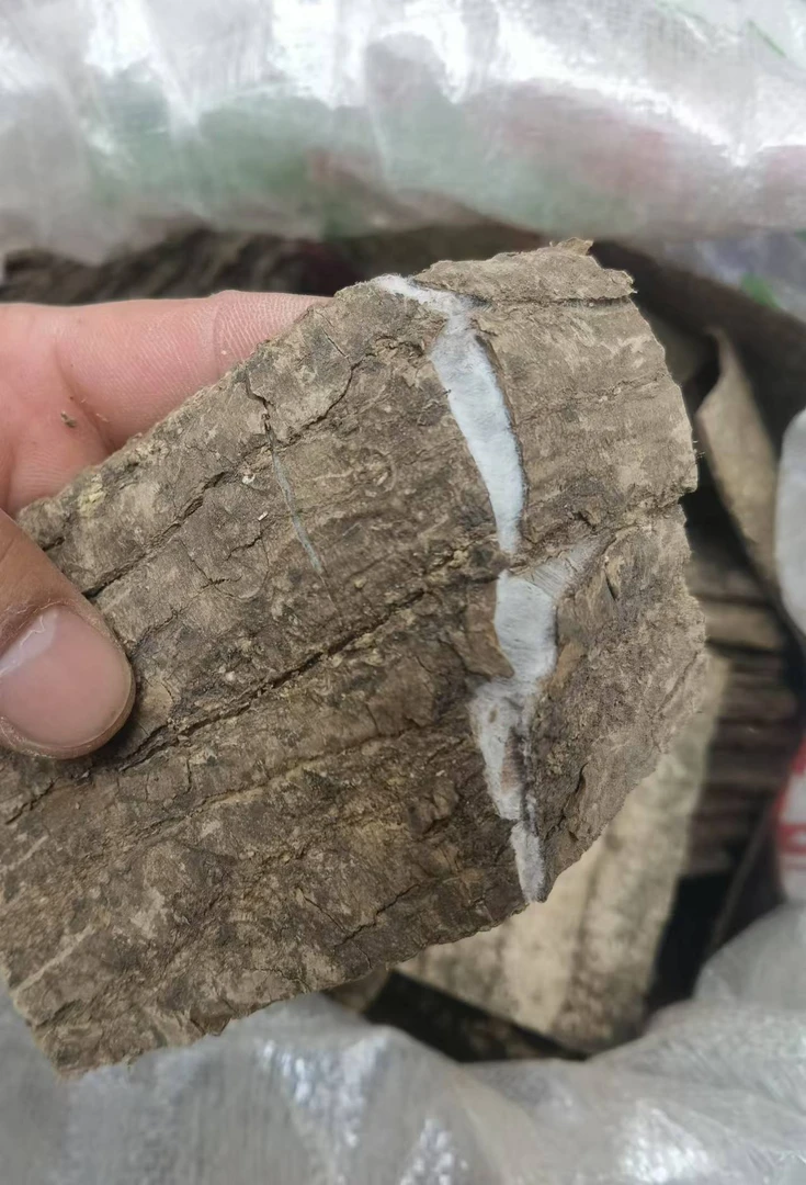 杜仲高品质特级杜仲皮杜仲手工泡水煮水