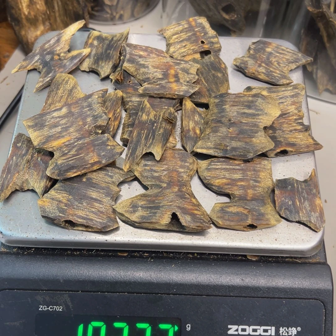 卓***英沉香沉香碎屑绿棋东江绿原材料102克