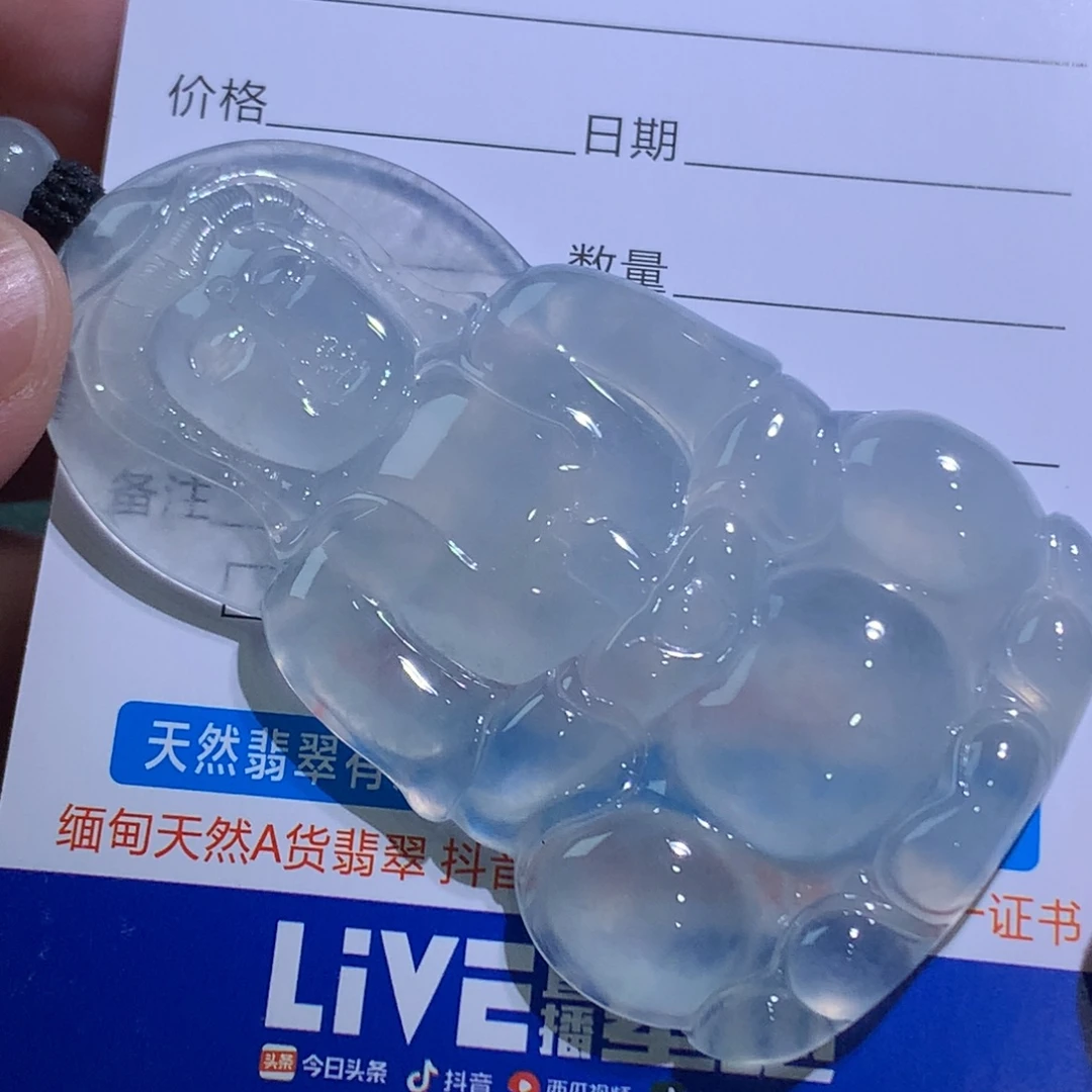 长***厂翡翠未镶嵌颈饰翡翠