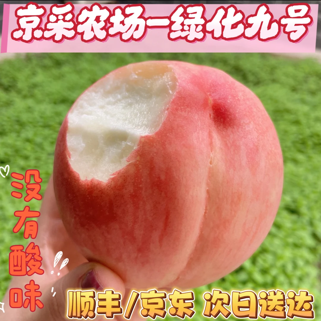 [平谷大桃-绿化九]  可软吃桃香四溢 脆软两吃当季新鲜水果桃子桃子同城送北京市