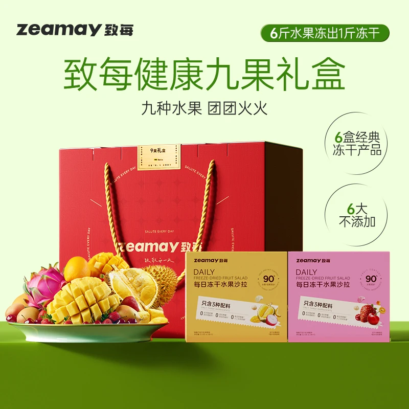 致每健康九果礼盒6大盒冻干9种水果 上市公司甘源出品