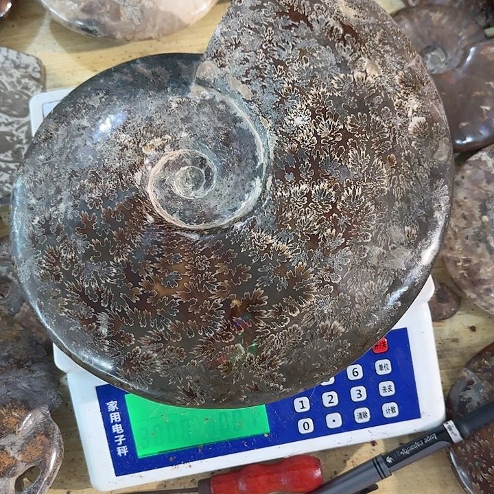 卡***诺有机玻璃家居装饰摆件